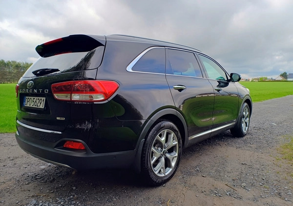 Kia Sorento cena 83500 przebieg: 167300, rok produkcji 2015 z Żychlin małe 56